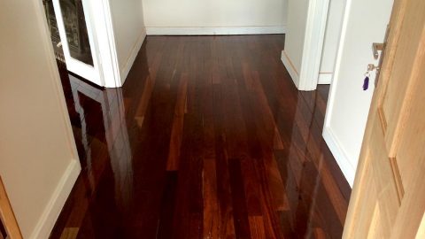 caring for timber floors