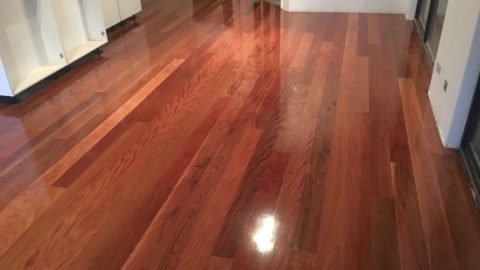 Feature Timber Floors