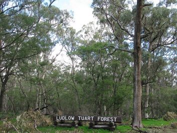 Tuart Timber Floors